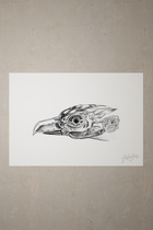 CONCEPT ART AMARE
