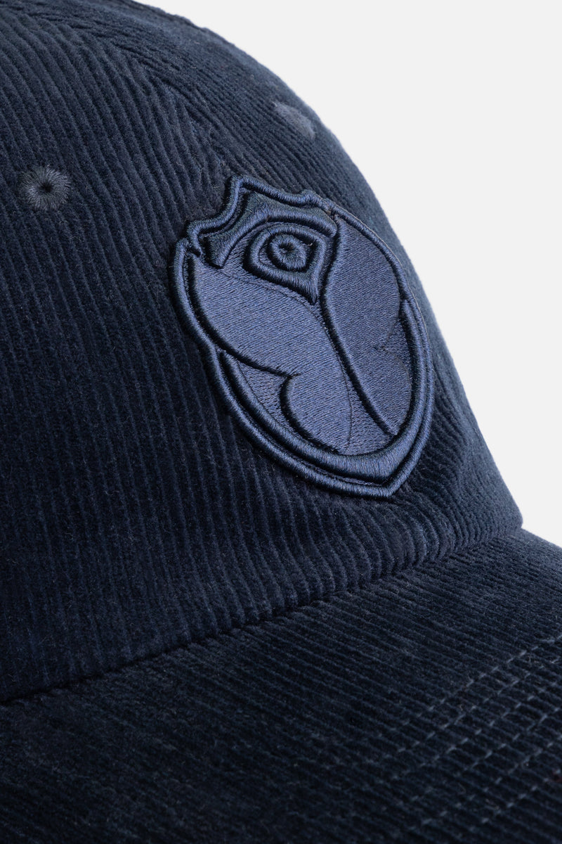 CURVED ICON CORDUROY CAP BLUE