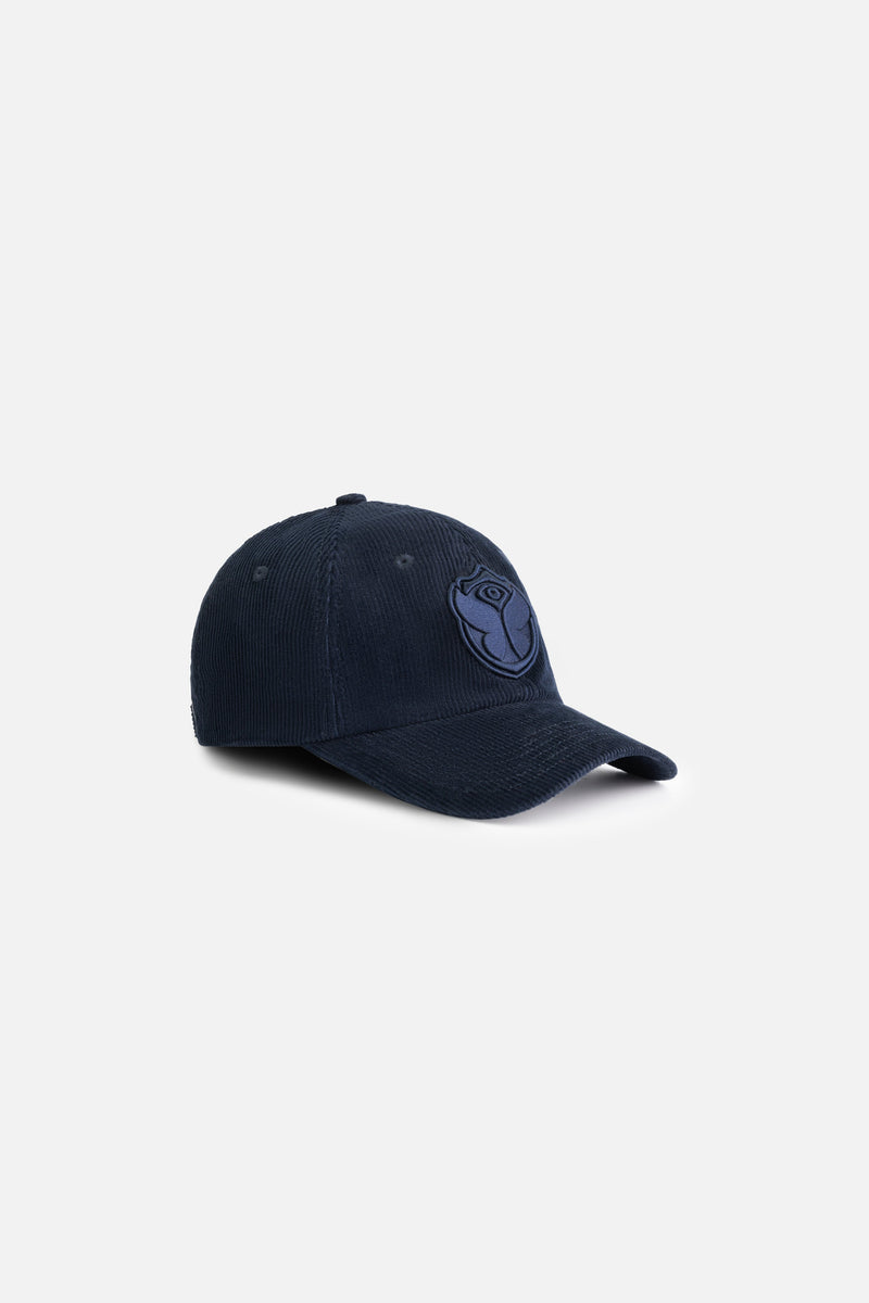 CURVED ICON CORDUROY CAP BLUE