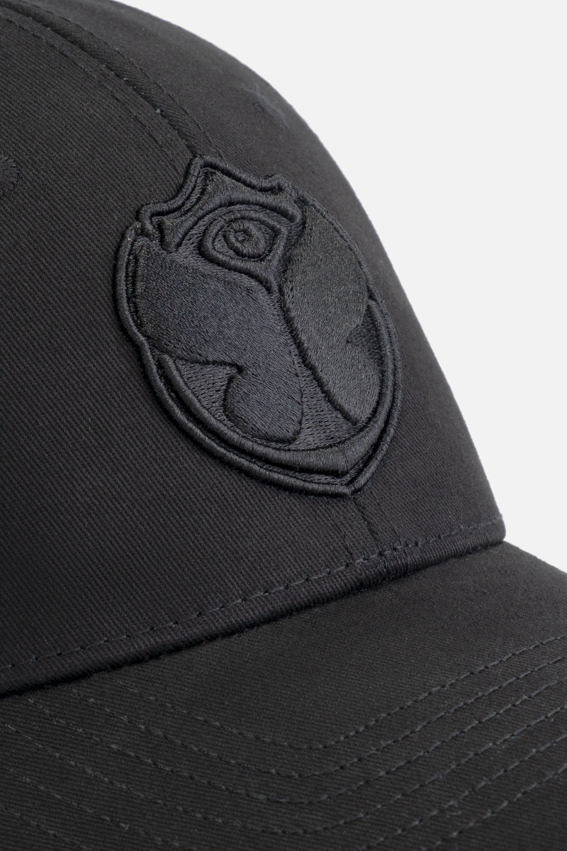 CURVED ICON CAP BLACK 25PCS