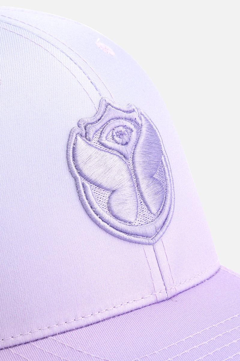 CURVED ICON CAP FADER PURPLE