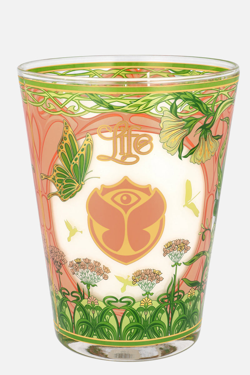BAOBAB CANDLE MAX 24 2024