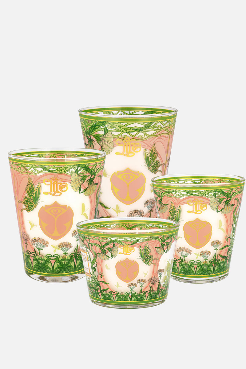 BAOBAB CANDLE MAX 16 2024