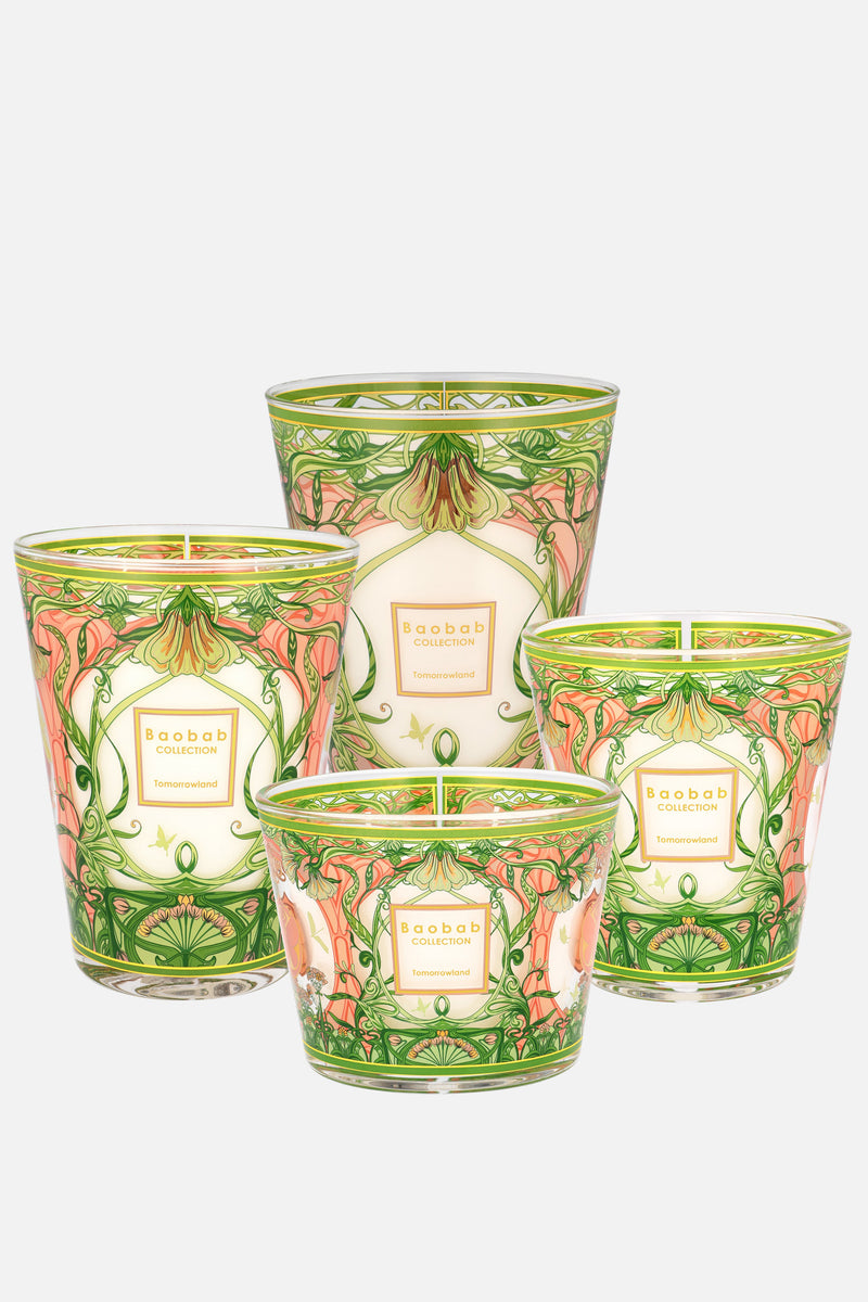 BAOBAB CANDLE MAX 24 2024