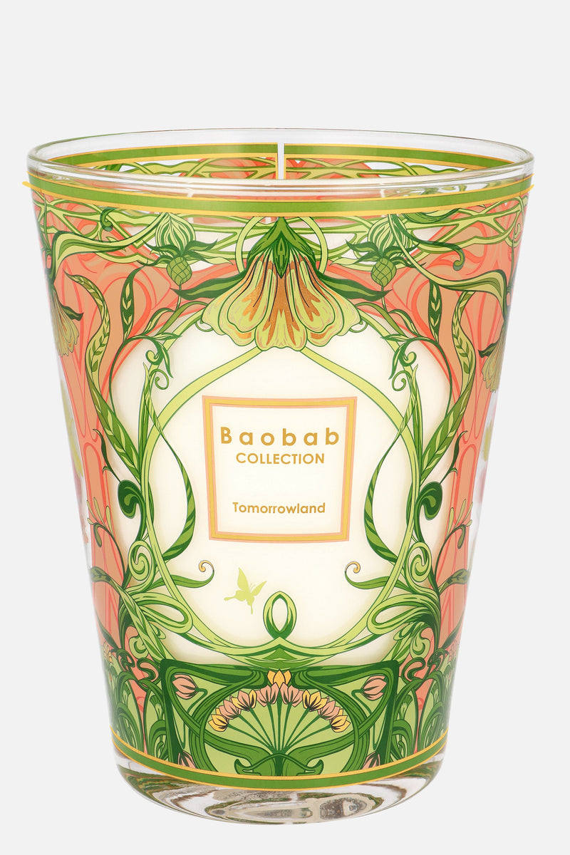 BAOBAB CANDLE MAX 24 2024