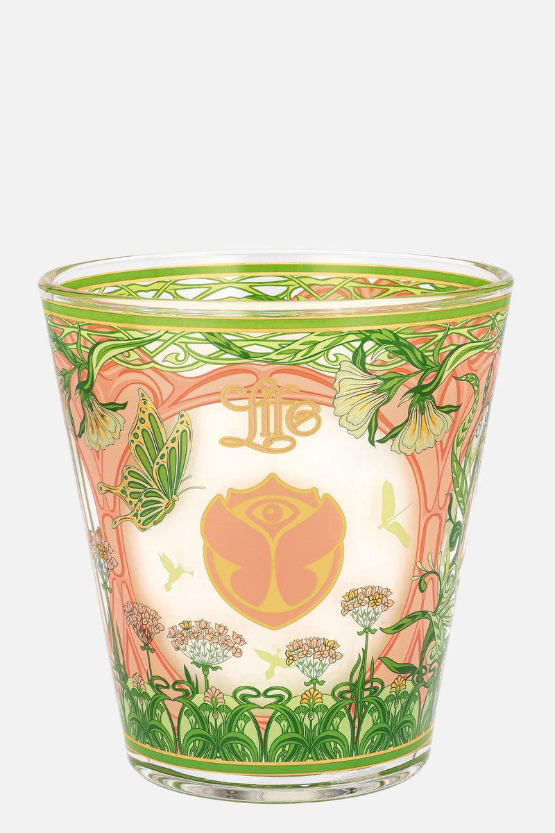 BAOBAB CANDLE MAX 16 2024
