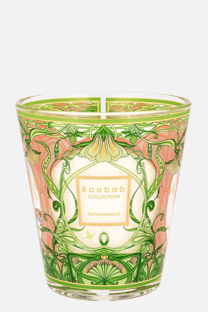 BAOBAB CANDLE MAX 16 2024