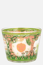 BAOBAB x TML CANDLE MAX 10