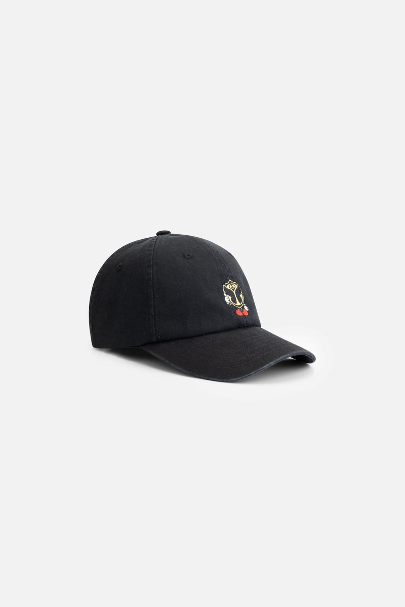 CURVED HAPPICON CAP WASHED BLACK
