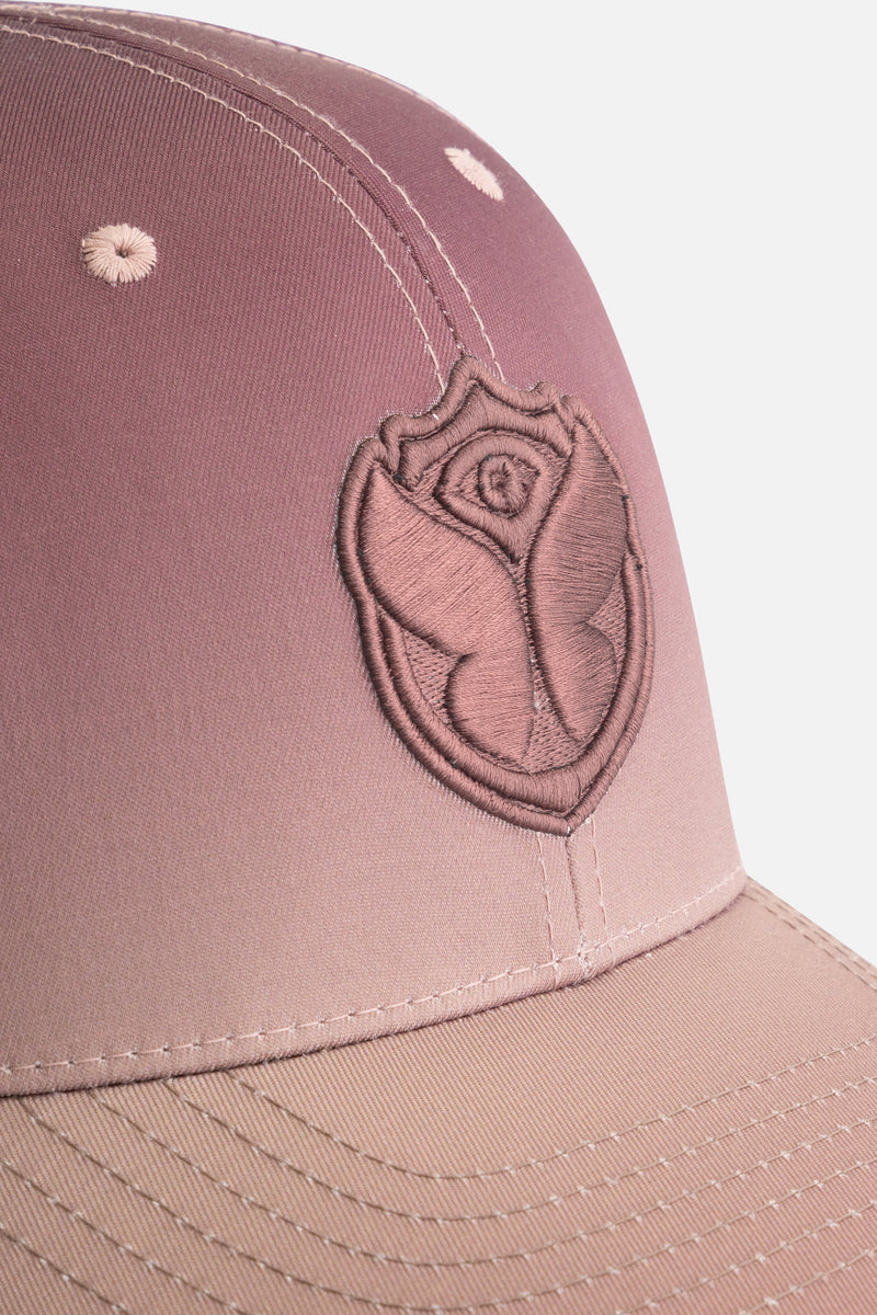 CURVED ICON CAP FADER BROWN 24PCS