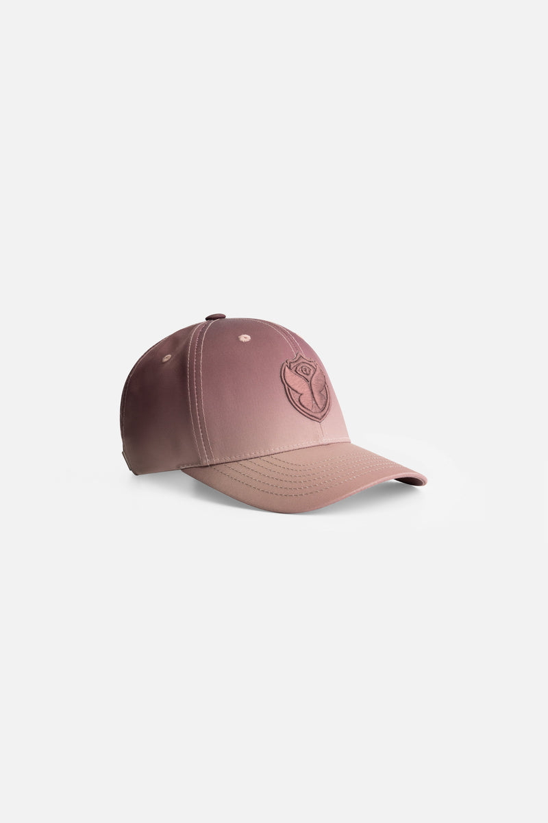 CURVED ICON CAP FADER BROWN 24PCS