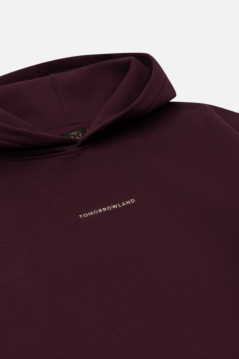 ICON AIRSHIP HOODIE MEN BURGUNDY