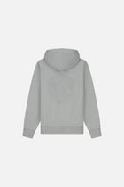 GRAPHICON BACK HOODIE MEN GREY