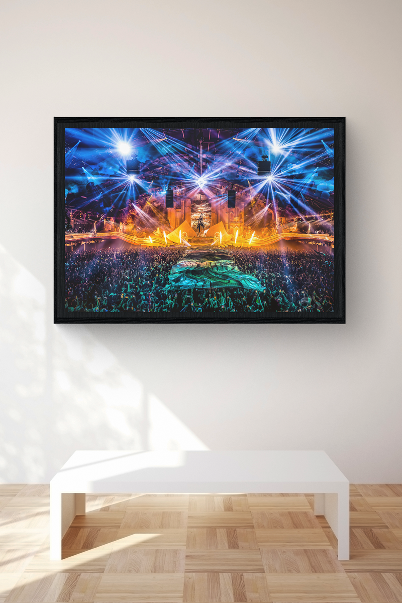 PHOTO ART WINTER 2025 MAINSTAGE - COLLECTOR
