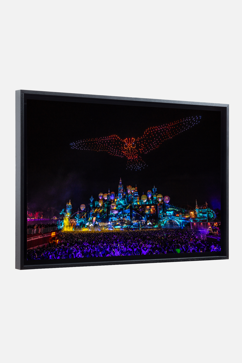 PHOTO ART BRASIL 2024 ADSCENDO MAINSTAGE AMARE  - MEDIUM (ZEINBERG - LARGE)