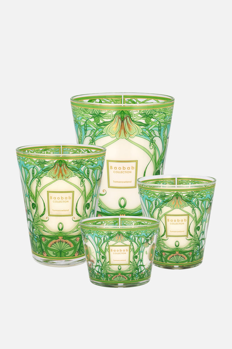 BAOBAB CANDLE MAX 16